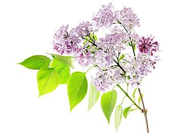 《死亡空间》之父感谢Motive忠实地重制了游戏